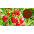 X-Humate Top Grade High Concentration 100% Water Soluble Fulvic Acid Powder Agriculture Organic Fertilizer